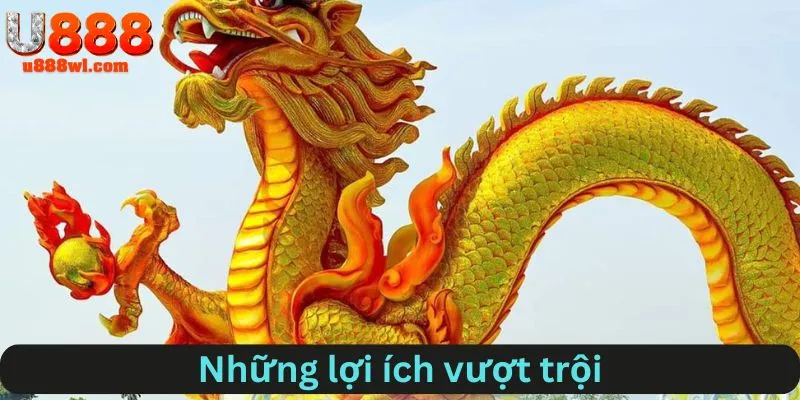Những lợi ích vượt trội từ rồng bạch kim